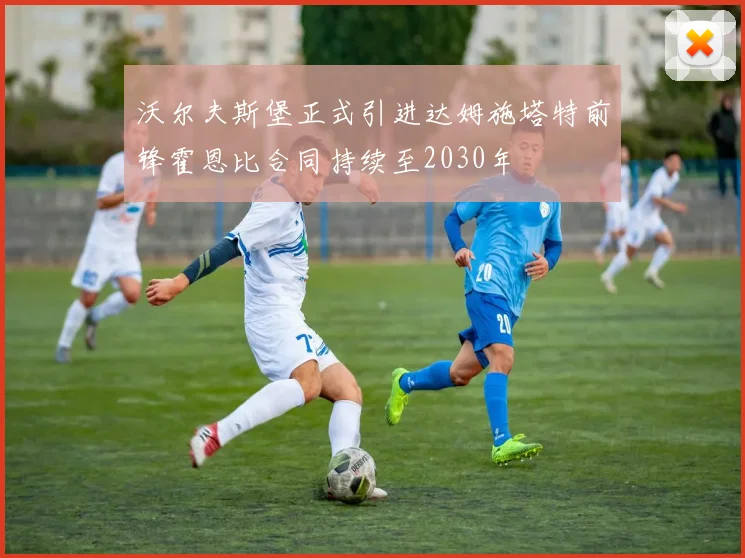 沃尔夫斯堡正式引进达姆施塔特前锋霍恩比合同持续至2030年